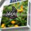 Full Color P10 Outdoor LED Advertising Display Highest Effective Waterproof