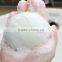 Beauty Salon Facial Skin Care Konjac Sponge Organic Natural Soft Cleaner Wholesale