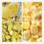 Chinese Frozen Dried (FD snack) Mango powder,Dice for sale