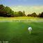 Wholesale Grass Artificial for Golf Synthetic Grass Carpet Artificial Grass