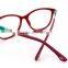 2016 Lovely Spring Temples Glasses Eye Wear Frame