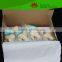 Direct factory supplied human knee joint model