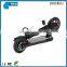 Two wheel smart city bug electric scooter 800W 10inch mini motorbike