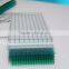 factory provide cheapest 100% Makrolon 4mm/6mm Translucent Double Skin Polycarbonate Hollow Sheet