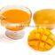 Rate of totapuri mango pulp