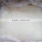 Frozen Squid Fillets