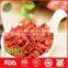 Bulk dried goji berries with wholesale price