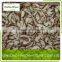 product quality protection frozen shiitake mushroom