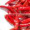Alibaba express shipping export dried red chilli from alibaba china market