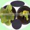 Soluble Humic Acid Power organic Fertilizer price