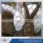 1/4", 3/4" Cheap Chicken Wire / Rabbit wire Mesh / Galvanized Hexagonal Wire Mesh