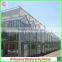 Hot Sale Multi-span Glass 9.6m Agriculture Greenhouse for Vegetables