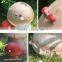 Artificial ladybug fairy mushroom statue for garden decor