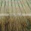 water reed for thatching roof