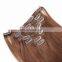 Wholesale Hair Afro Clip In Hair Extensions Silky Straight Wave Free Sample
