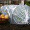 Polyethylene garden grow tunnel greenhouse tent arch film small tunnel garden warm flower house