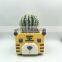 cute cheap indoor panda garden cartoon ceramic flower planters plant succulent  pots suppliers manufacturer