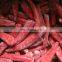 Good taste Frozen Jinta  Chill IQF Chilli