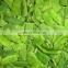Sinocharm BRC A Approved W10-15MM IQF Green Romano Bean Sliced Cut Frozen Romano Beans