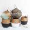 Dipped Color Seagrass Belly Basket, Planter Pot, Best Seller Woven Plant Holder Wholesale made in Vietnam