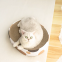 MeowLove Hot sales scratcher cat play toy corrugated cardboard cat scratcher cat cardboard