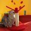 Meow Love Christmas Festive Cat Scratching Post Natural Sisal Teddy Fluffy Cat Toy Felt Red Green Strawberry Entertainment Exercise Claw Grinding