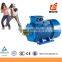 Weiye Cast Iron Body Three Phase Universal Motor With Water Pump Made In China