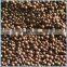 DA201-C Macroporous Adsorption Resin