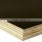 18mm WBP Glue Marine Plywood Construction Material