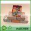 Bright Colorful Wedding Favor Box