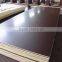 phenolic glue brown film faced plywood from LS