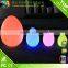 LED Egg
