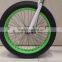36V 350W 26*4.0 fat tire electric bike rechargable battery snow bike electric fat bike