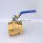 male hose bard valve
