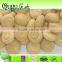 canned mushroom hot sale