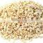Sesame - Sortex