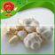 Chinese high quality fresh pure white garlic or normal white garlic dry garlic