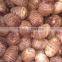 New Arrival China Fresh Taro Low Price High Quality