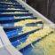 EGYPTION FROZEN FRENCH FRIES