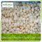 Chinese White Frozen Garlic
