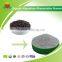 High Quality Organic Hippophae Rhamnoides Powder