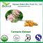 Turmeric Root Extract Powder with 95% Curcumin