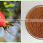 Rose Hip Powder
