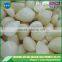 Chinese super white frozen garlic in 10kg carton with best quality and low price