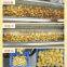 automatic vegetable washing and peeling machine