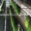 1000-100000KG/DAY Automatic Heating and Watering Hydroponic Fodder Production Line