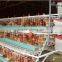 Multi-tier and Ladder Frame Steel Layer Chicken Coop For Sale