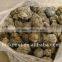 China professional Pure propolis extract manufacturer