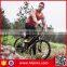 2017 New Model Smart Electric Mountain Bike