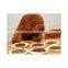 Pet food equipment of stainless steel full automatic